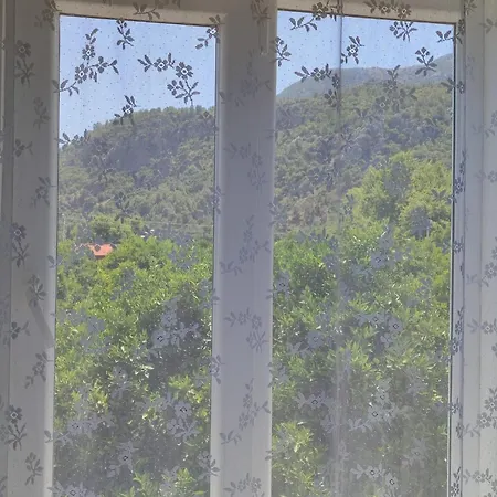 Flora Cirali * Kemer
