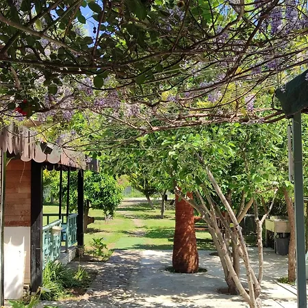 Homestay Flora Cirali Kemer