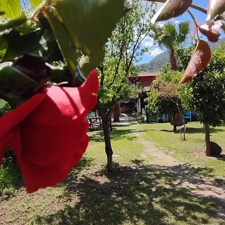 Flora Cirali Homestay Kemer