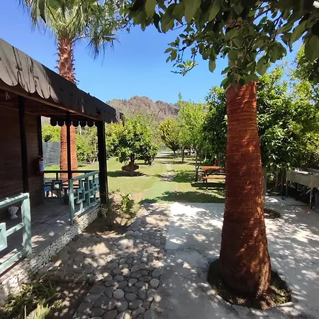 Rum i privatbostad Flora Cirali *