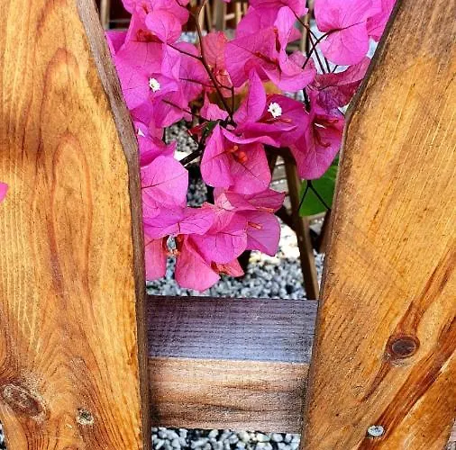 Flora Cirali منزل للإقامة *