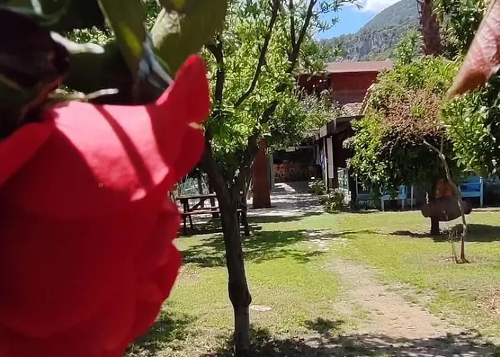 Flora Cirali منزل للإقامة كمر