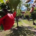 Flora Cirali Alloggio in famiglia Kemer