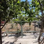Alloggio in famiglia Flora Cirali Kemer