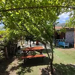 Flora Cirali Kemer