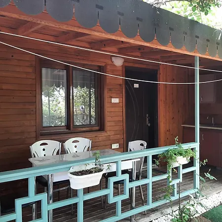 Flora çıralı Kemer