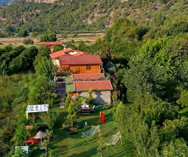 Flora çıralı Séjour chez l'habitant Kemer
