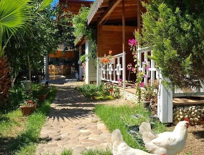 Séjour chez l'habitant Flora çıralı