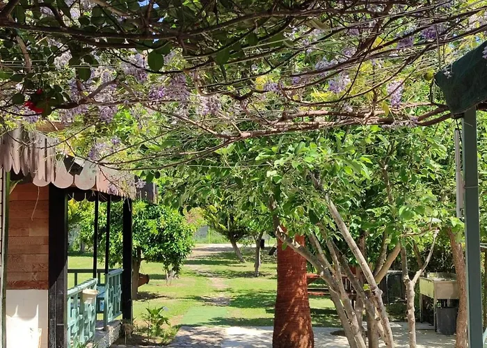 Séjour chez l'habitant Flora çıralı Kemer