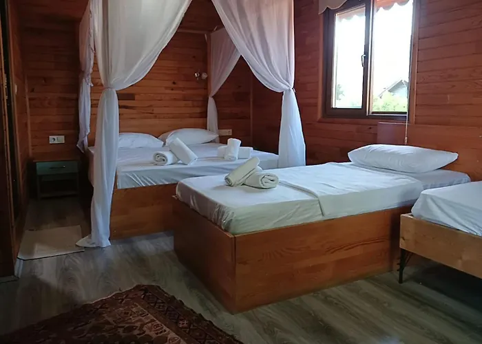 Flora çıralı Séjour chez l'habitant