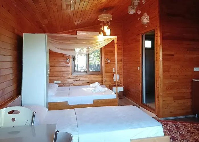 Flora çıralı Kemer