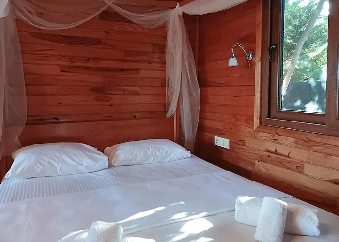 Flora çıralı * Kemer