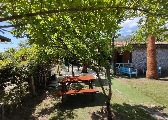 Flora çıralı