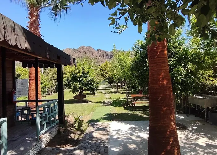 Séjour chez l'habitant Flora çıralı *