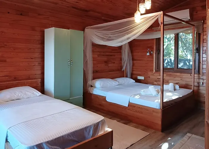 Séjour chez l'habitant Flora çıralı Kemer