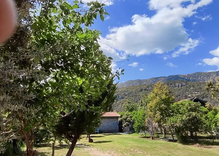 Flora çıralı Kemer