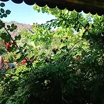 Flora Cirali Homestay *