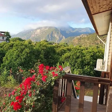Flora çıralı Pansiyon