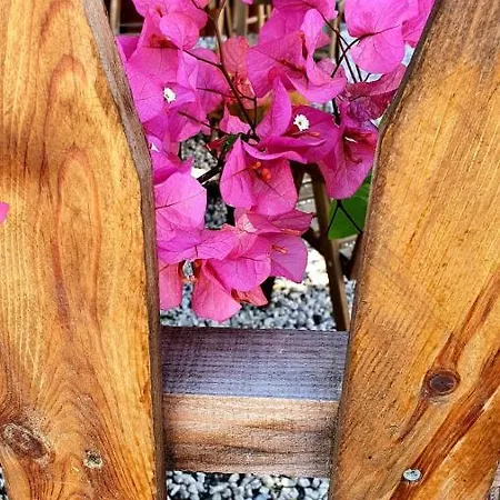 Flora çıralı Quarto em Acomodações Particulares *