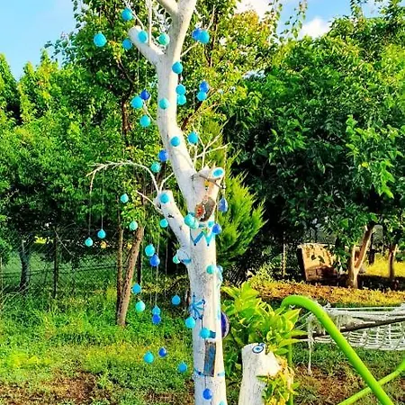 Flora çıralı