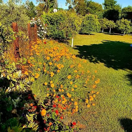 Flora Cirali בית אירוח *