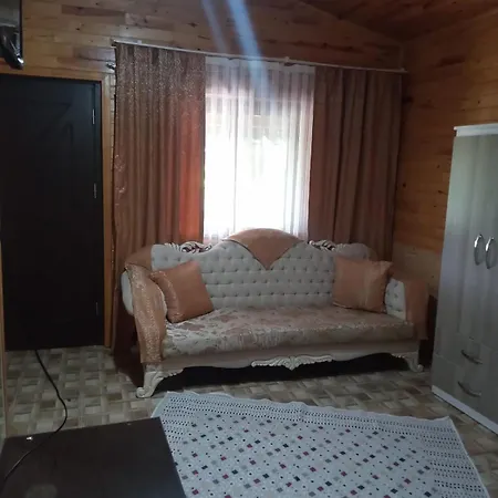 Flora çıralı