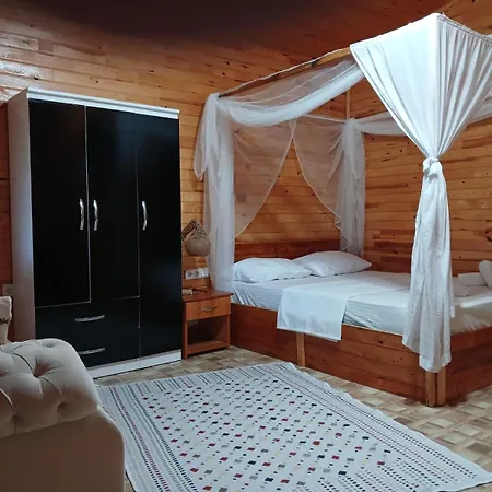 Flora çıralı *
