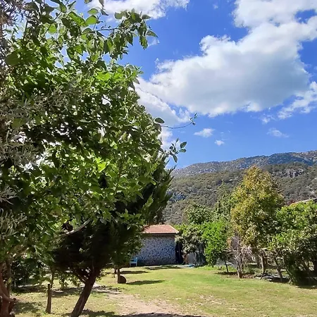 Flora çıralı Pansiyon *