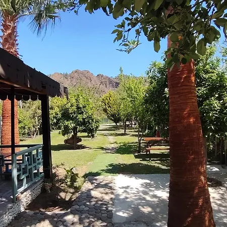 民宿 Flora Cirali *