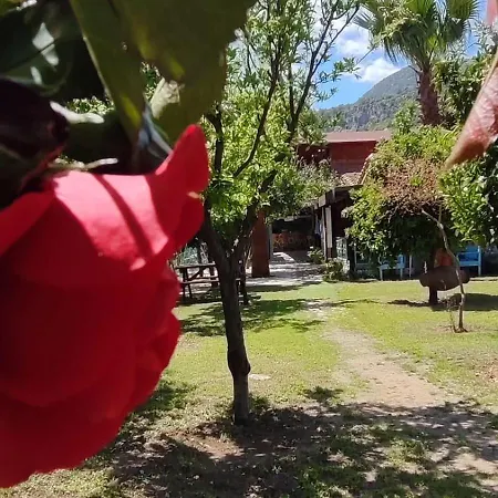 Flora çıralı Pansiyon Kemer