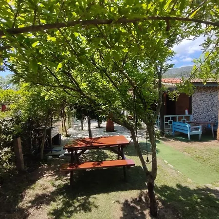 Flora çıralı Kemer