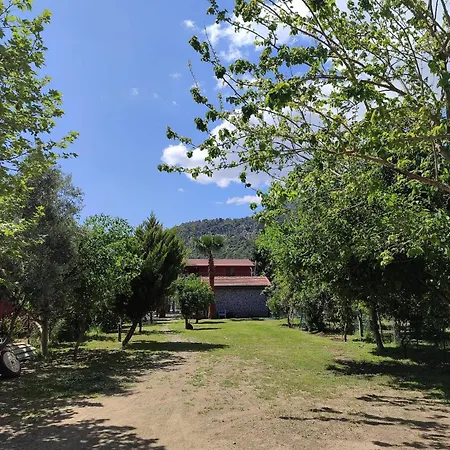 Flora çıralı