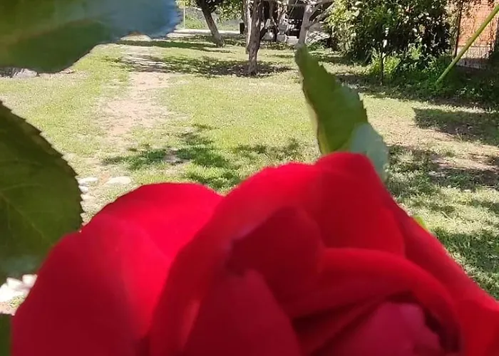 Flora Cirali 民宿