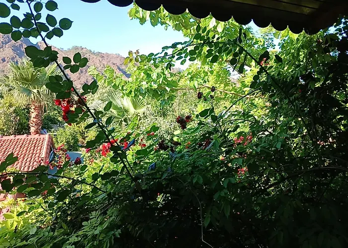 Flora Cirali Kwatera prywatna *
