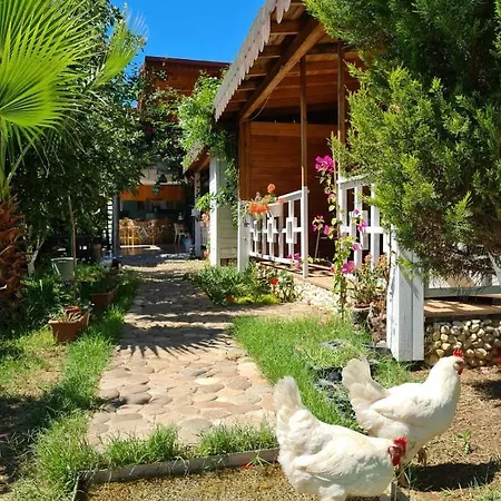 Δωμάτια σε οικογενειακή κατοικία Flora Cirali