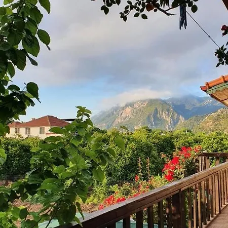 Homestay szállás Flora Cirali *