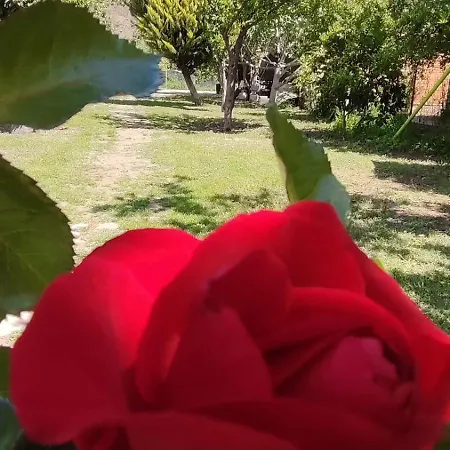 Flora Cirali Δωμάτια σε οικογενειακή κατοικία