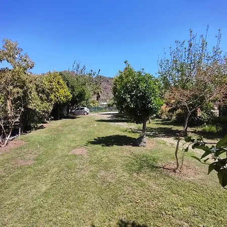 Homestay Flora Cirali