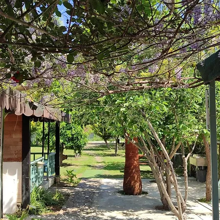 Δωμάτια σε οικογενειακή κατοικία Flora Cirali Κεμέρ