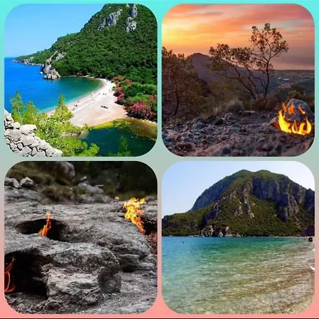 Flora Cirali Homestay szállás *