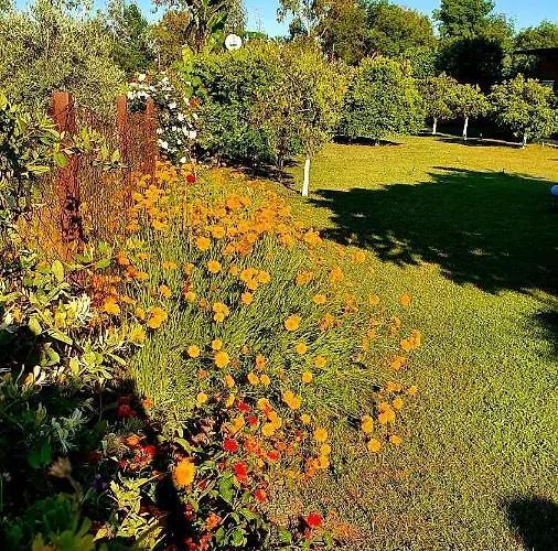 Flora Cirali Homestay *