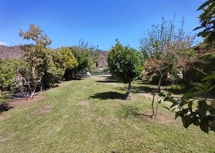 Homestay Flora Cirali