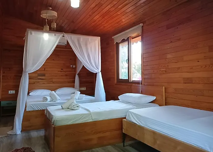 Flora Cirali * Kemer