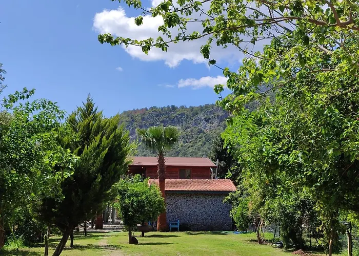 Flora Cirali * Kemer