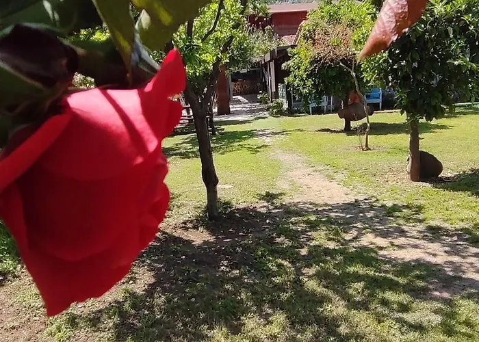 Flora Cirali Homestay