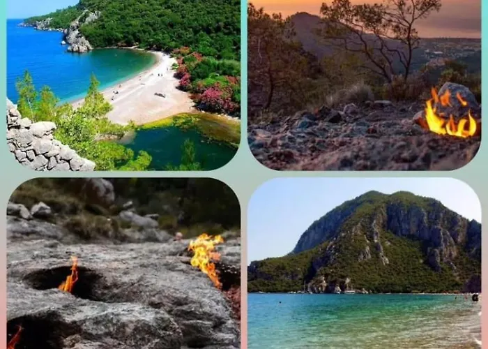 Flora Cirali Homestay *