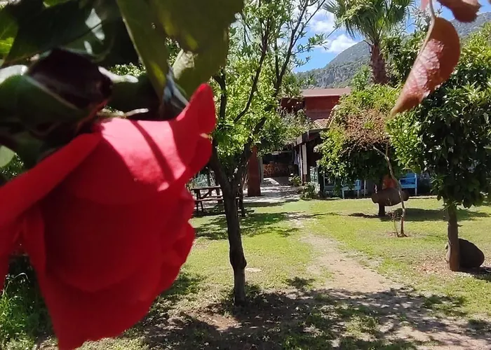 Flora Cirali Homestay Kemer